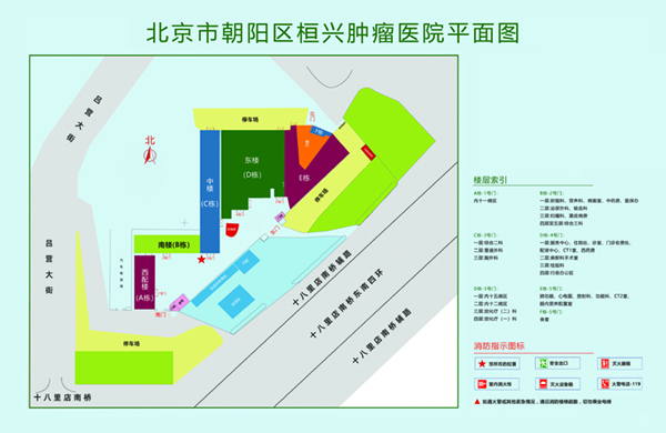 操逼添鸡巴视频网站北京市朝阳区桓兴肿瘤医院平面图